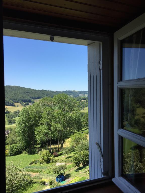 Auberge Hotel De Tournemire - Cantal Екстер'єр фото